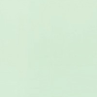 VERDE MATE R 39 glazura - wymiar 20/20 cm       