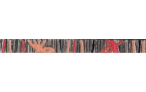 FORMA IM-020 ROJO listwa - wymiar 3/31,6 cm