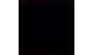 BLOOM NEGRO terakota - wymiar 30/30 cm