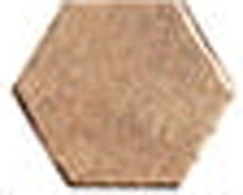 Tech Land Natural Hex18x20,5.jpg