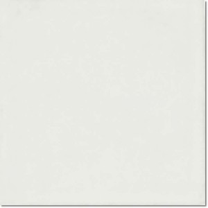 EVOLUTION BLANCO MATE glazura matowa - wymiar 15/15 cm