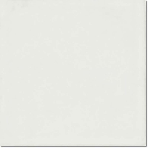 blanco mate 15 x15.jpg