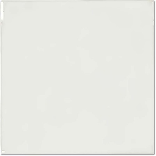 blanco  15 x15.jpg