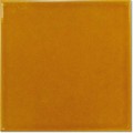 amber 15x15.jpg