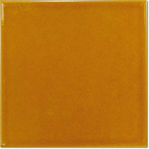 amber 15x15.jpg