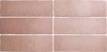 Coral pink 6,5x20.jpg