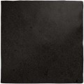 Black coal 13,2x13,2.jpg