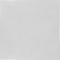 WHITE 13,2X13,2.jpg