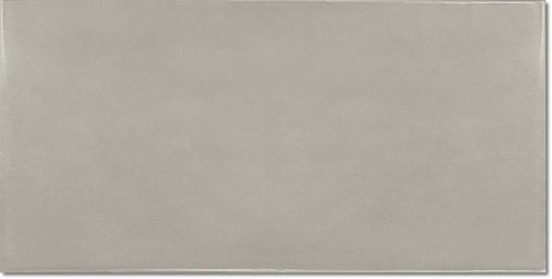 SILVER MIST 6,5X13,2.jpg