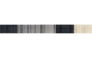 FORMA T-317 NEGRO listwa - wymiar 3/31,6 cm