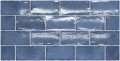 thistleblue75.jpg