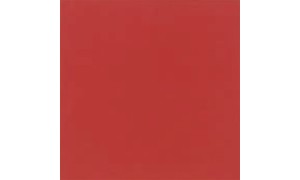 BLOOM ROJO terakota - wymiar 30/30 cm