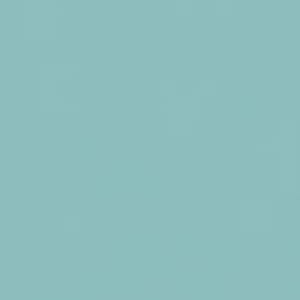 TACO-TENDER-PASTEL-TURQUOISE-46x46-CE01.jpg