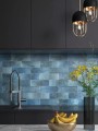 amazon-blue_final-771x1024.jpg