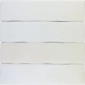 Zelij-mate-5x20-Bone-4PZ-CEM17-copy.jpg