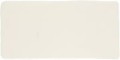 ANTIC-75X15-FLAN-MATE-CEM09.jpg