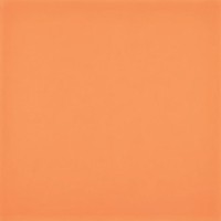 NARANJA F 51 glazura - wymiar 20/20 cm       