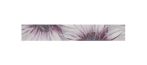 HOME IMPACT AZUL - LILA listwa - wymiar 5/31,6 cm
