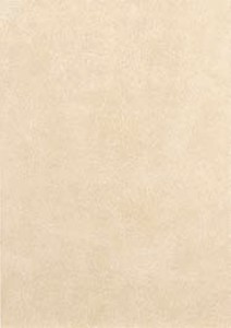 NAPA BEIGE glazura - wymiar 31,6/44,7 cm