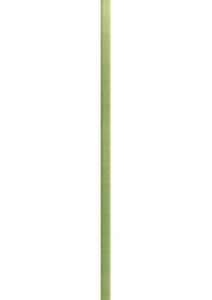 FORMA VIDRIO VERDE listwa - wymiar 1,5/44,7 cm