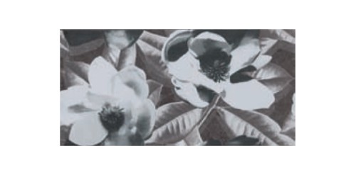 P.H.U. IGOR