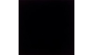 BLOOM NEGRO terakota - wymiar 30/30 cm