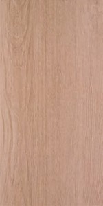 FOREST SIENA gres - wymiar 30/60 cm