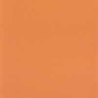 NARANJA MATE R 73  glazura - wymiar 20/20 cm        