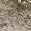 PHU IGOR 