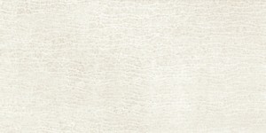 ELEGANCE PERLA glazura - wymiar 20/40 cm 